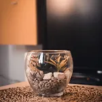 Apartma Stari Tiger