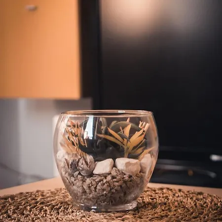 Apartment Stari Tiger
