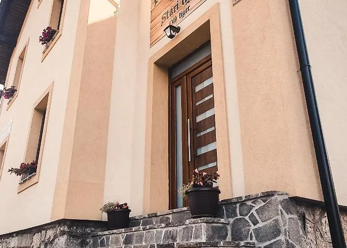 Stari Tiger * 博希尼